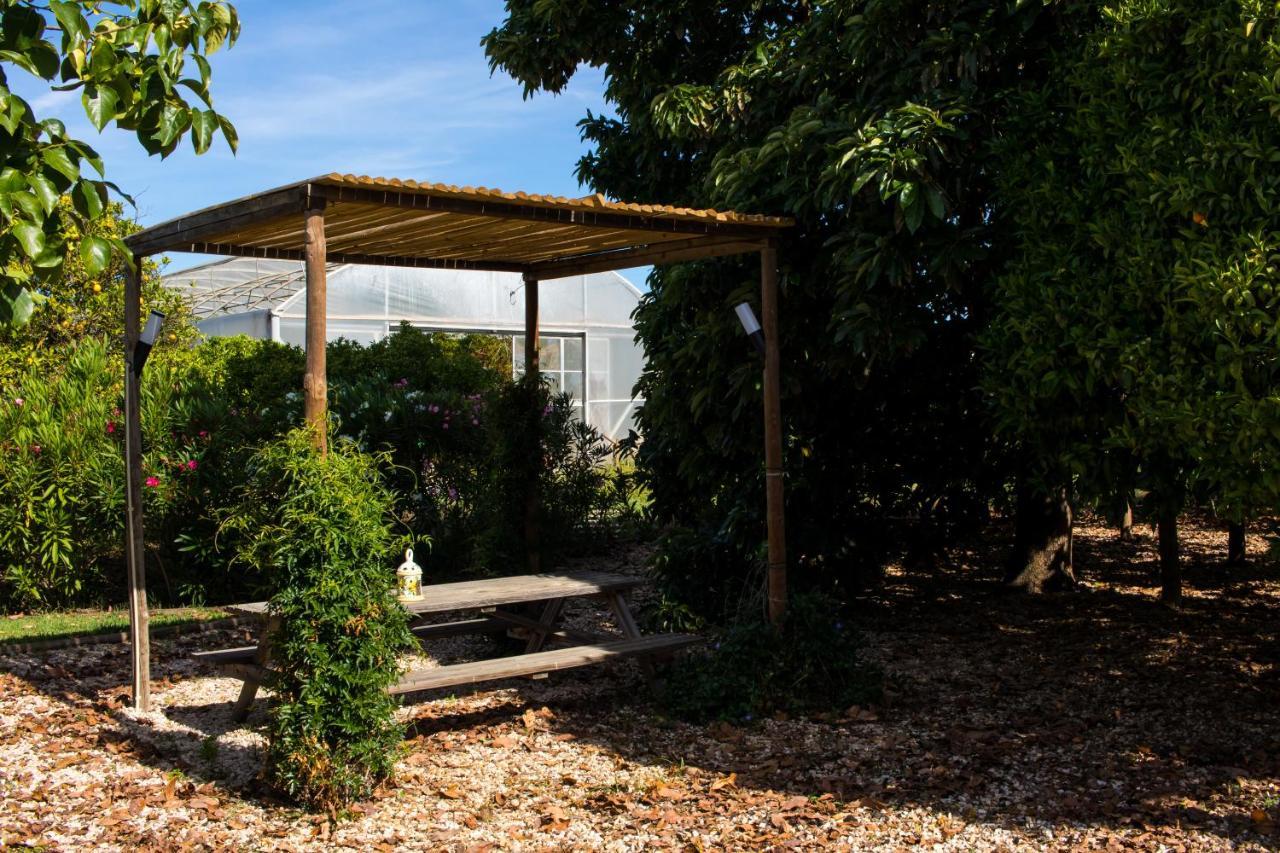 Tapada Dos Machados Guest House Donalda ภายนอก รูปภาพ